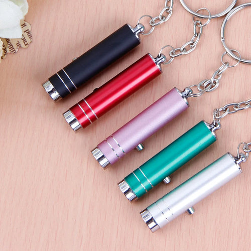 10Pcs/Lot LED UV Flash Light Portable Keychain Torch Mini Pen Pocket Pen Flashlight Emergency Camping Light