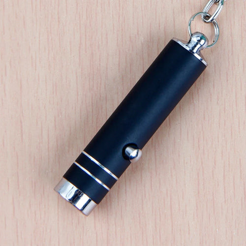10Pcs/Lot LED UV Flash Light Portable Keychain Torch Mini Pen Pocket Pen Flashlight Emergency Camping Light